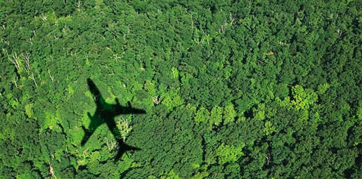 Sustainability and Public Bodies