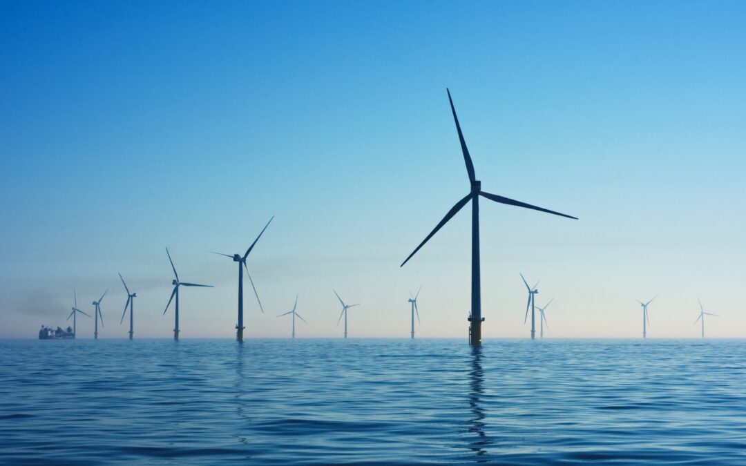 Arm’s-Length Bodies’ contribution to Net Zero, with Chapter Zero